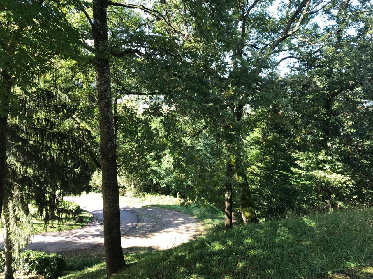 Les Chambres Et Studios Camping Parc De Paletes Сен-Жирон Экстерьер фото